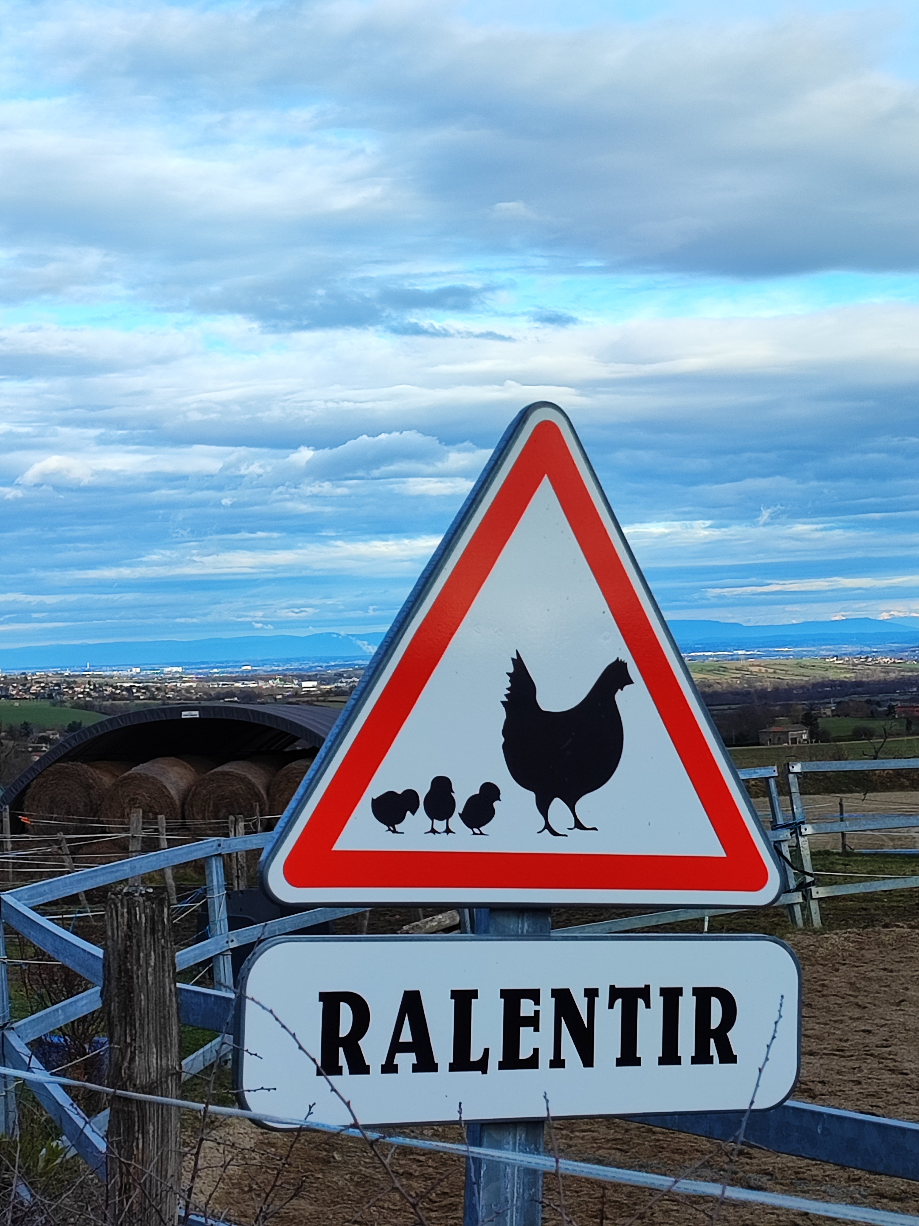 PANNEAU POULES - LES GALCOHONS.jpg