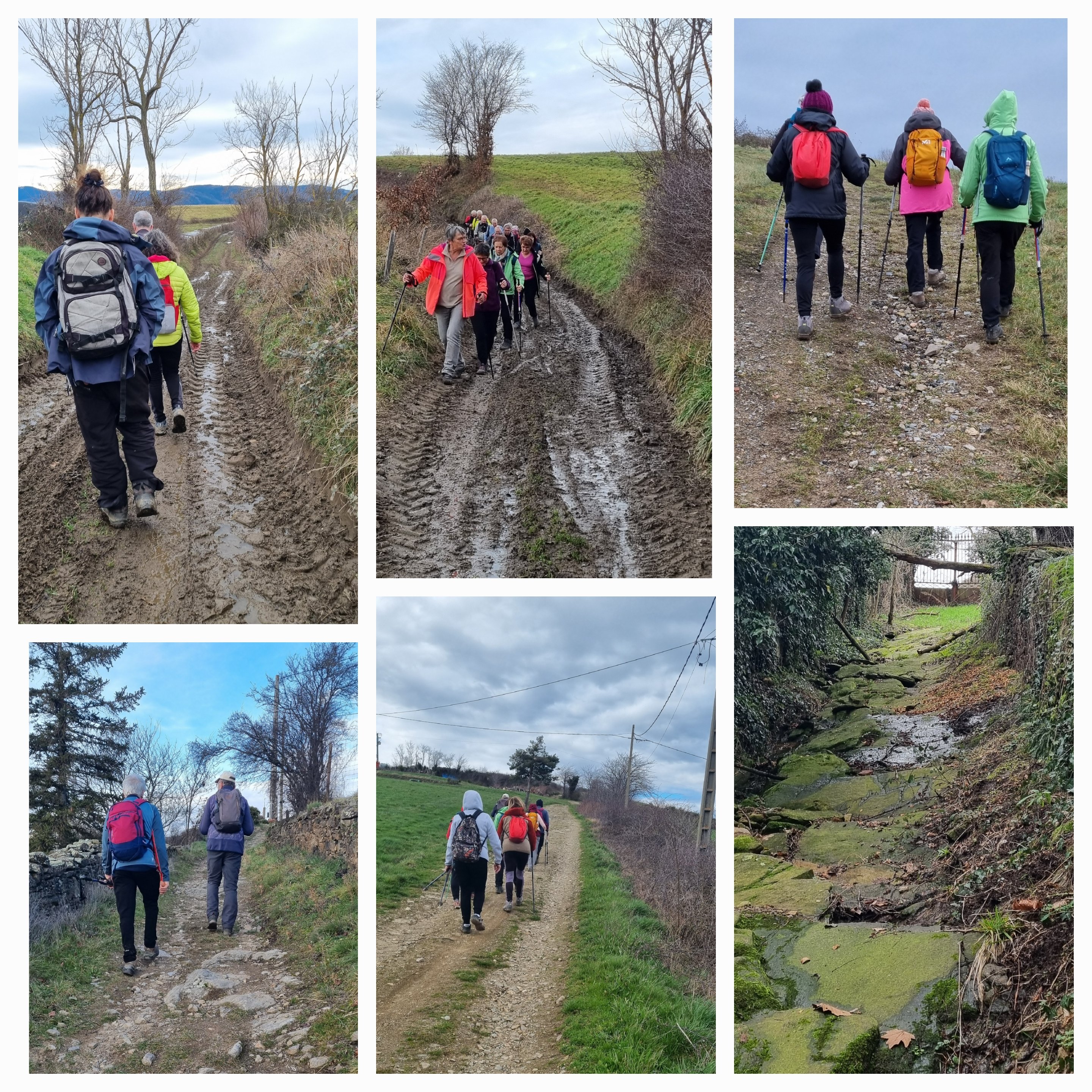 de janvier 2025 à  mars 2025.jpg