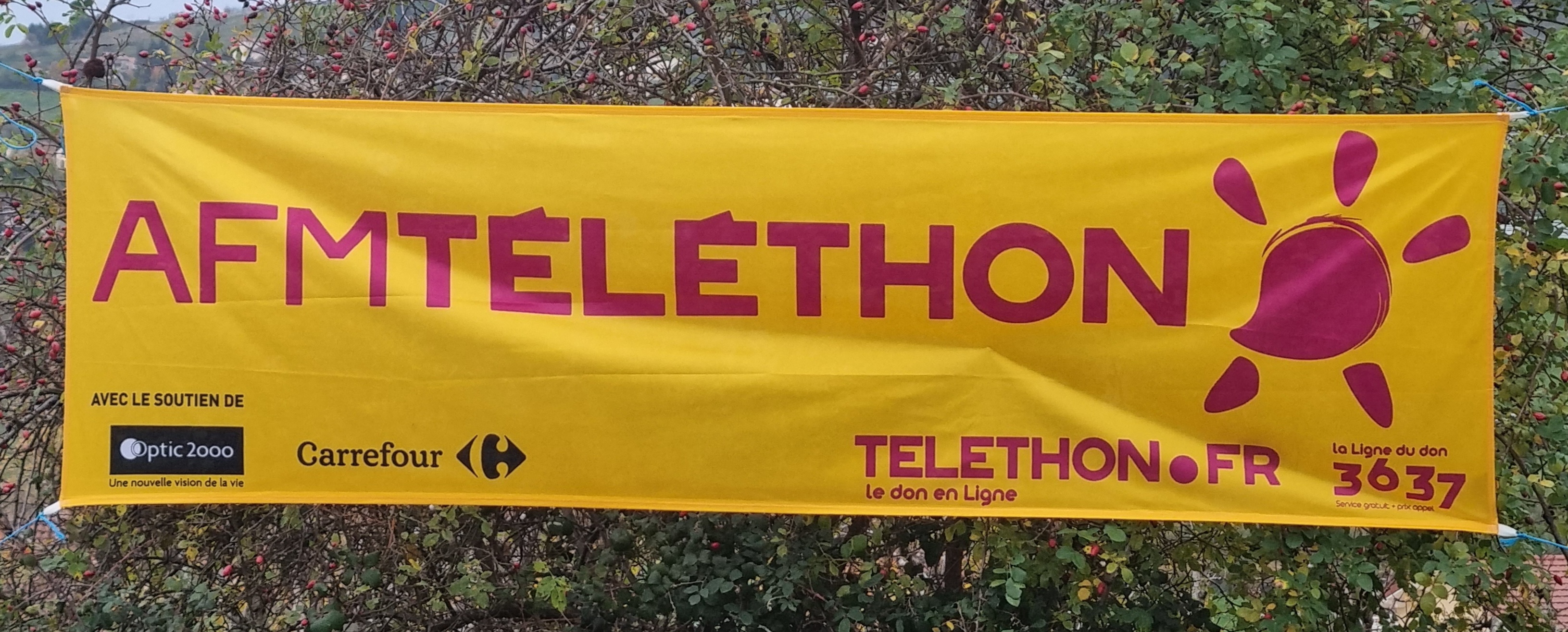 Téléthon 2022 n° 1.jpg