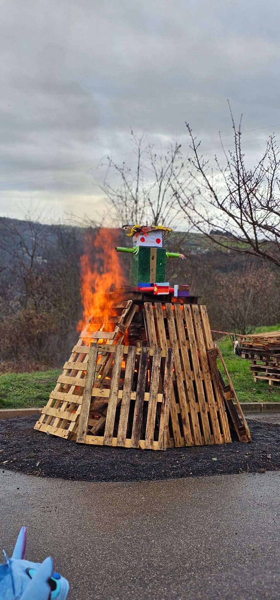 CARNAVAL - MARS 2025 - PLUIE _4_.jpg