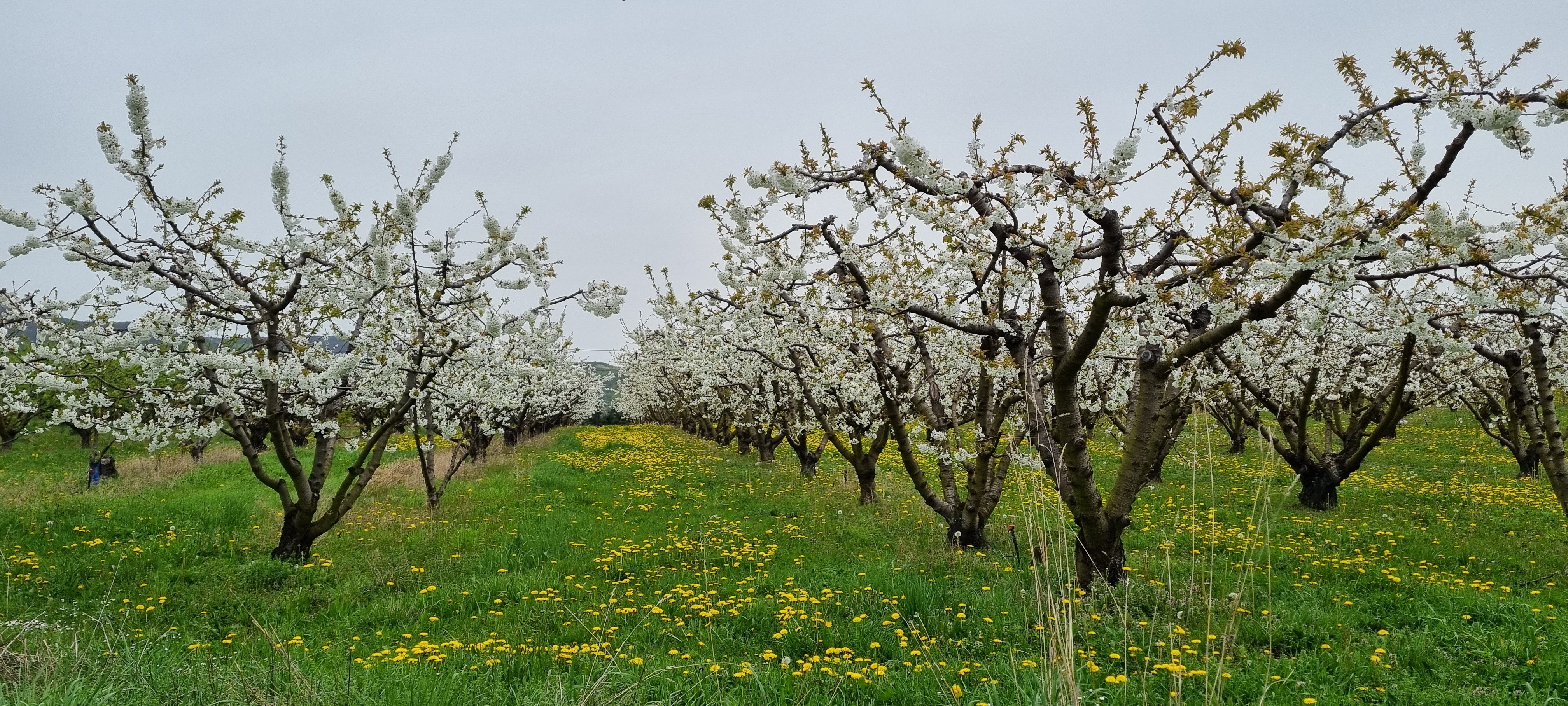 MARCHE - AVRIL 2024 - 8.jpg