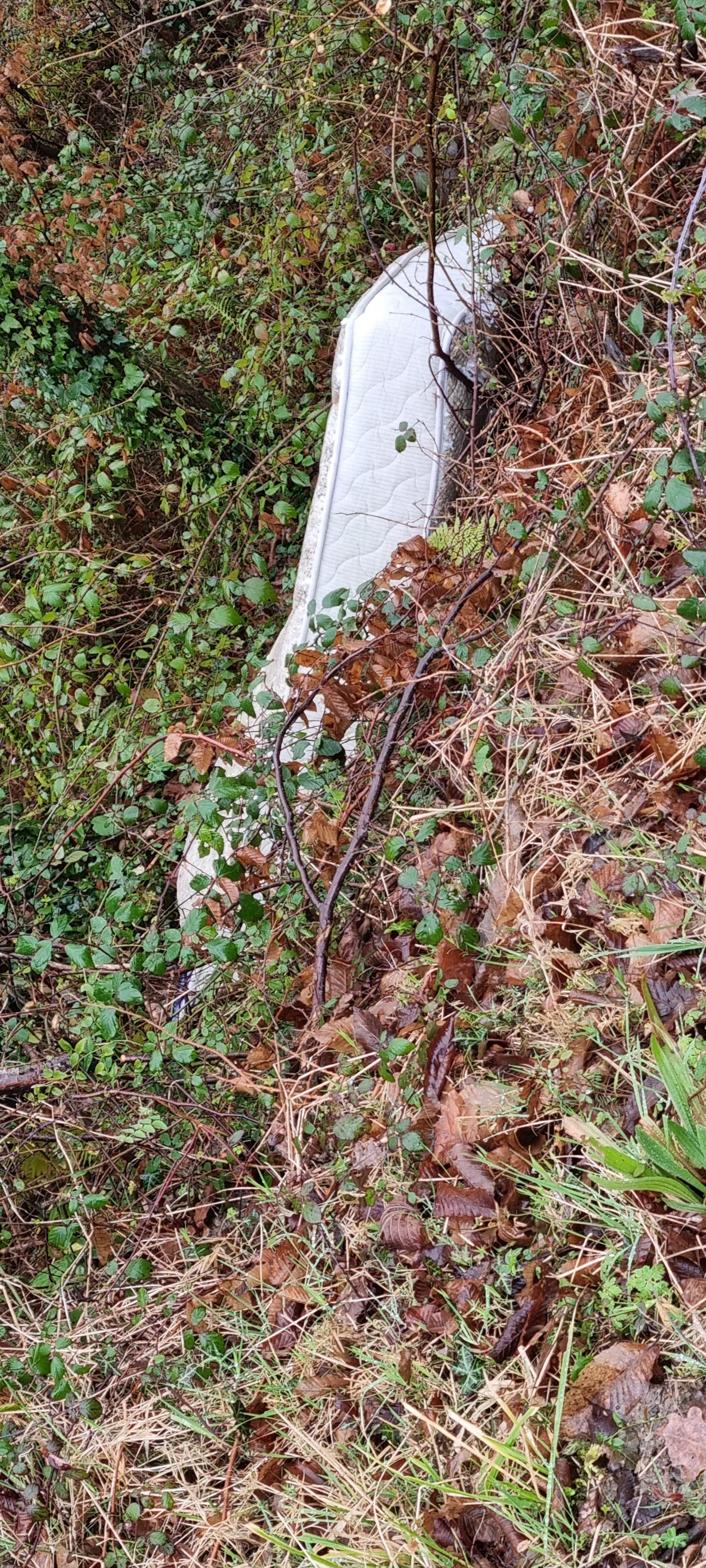 Journée Propreté 2025 - 1.jpg