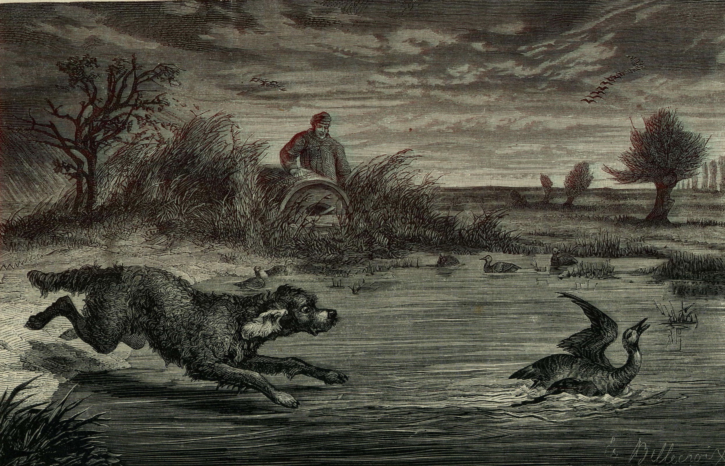 H - 1871 Chasse dans le Marais.jpg