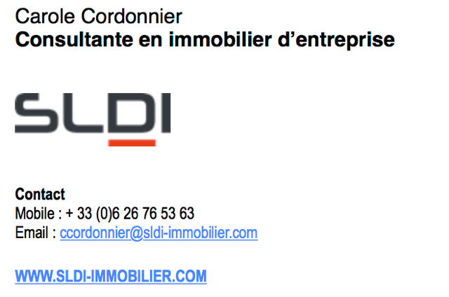 SLDI IMOBILIER.png