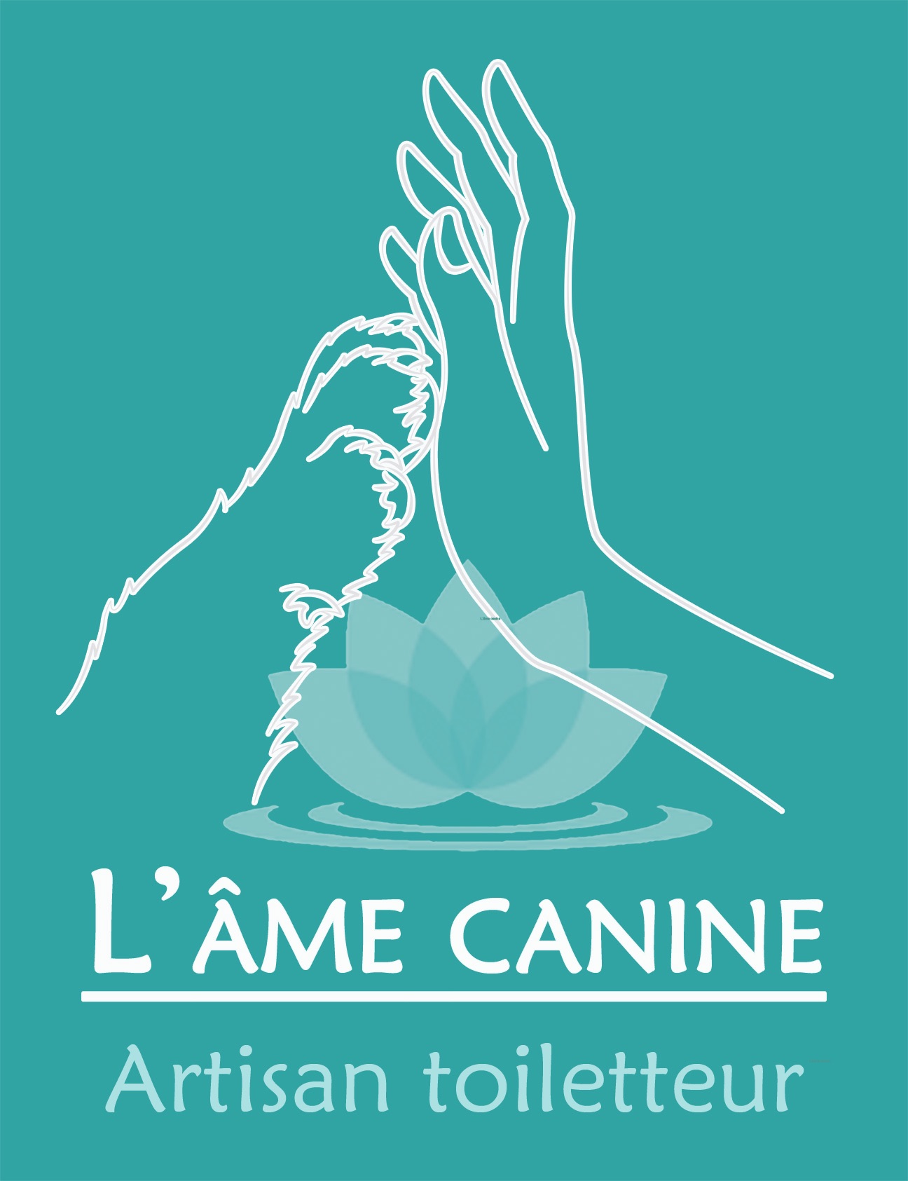 l_ame canine.jpg