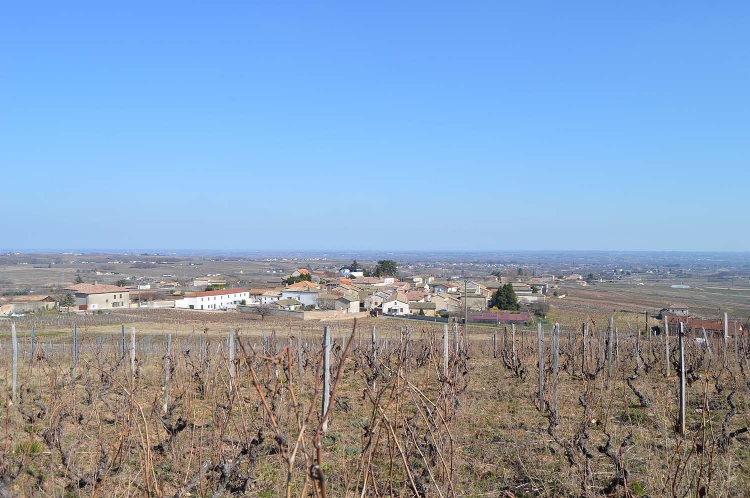 paysage LCG 09-03-22 _12_ OK.jpg