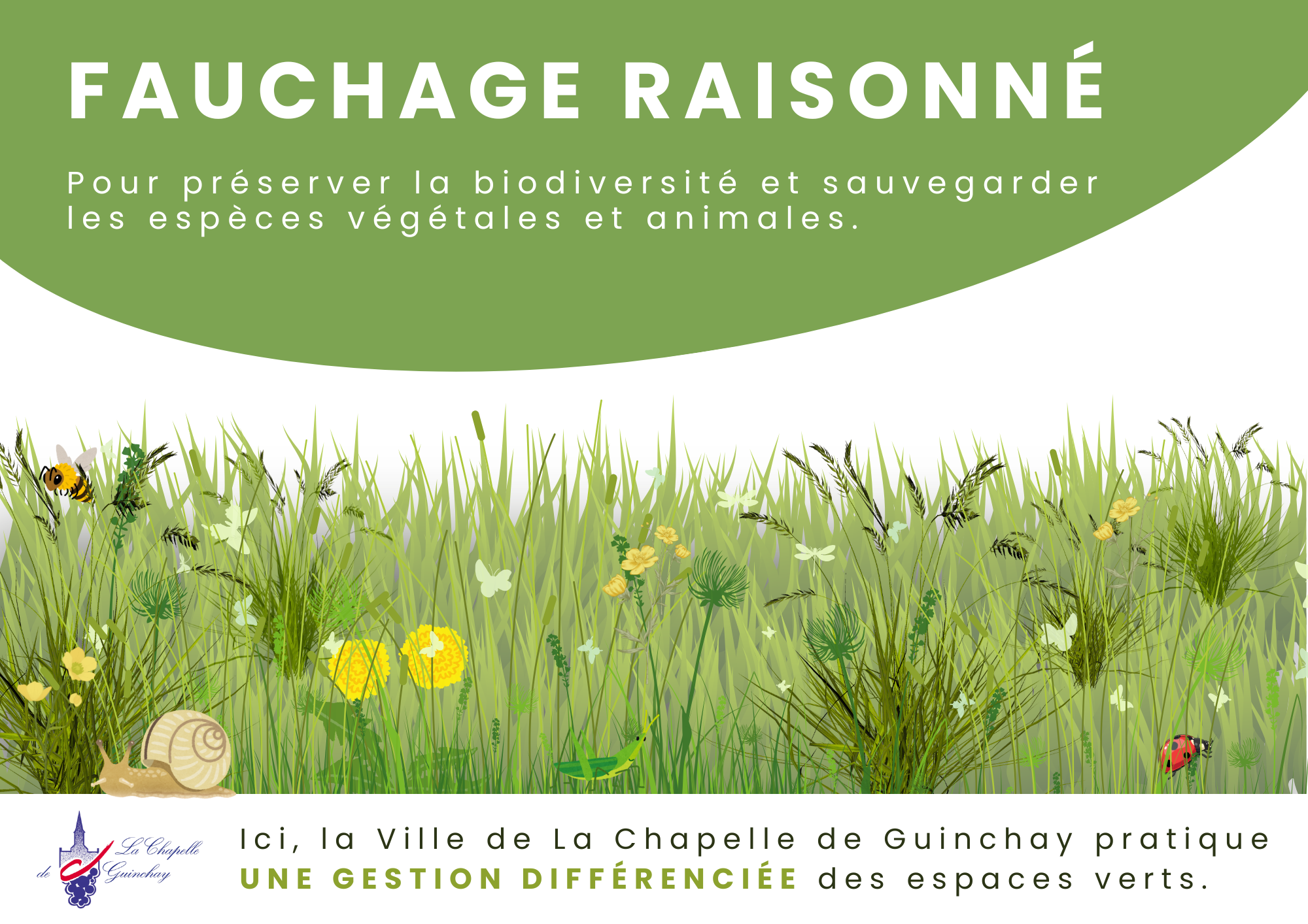 Fauchage raisonné.png