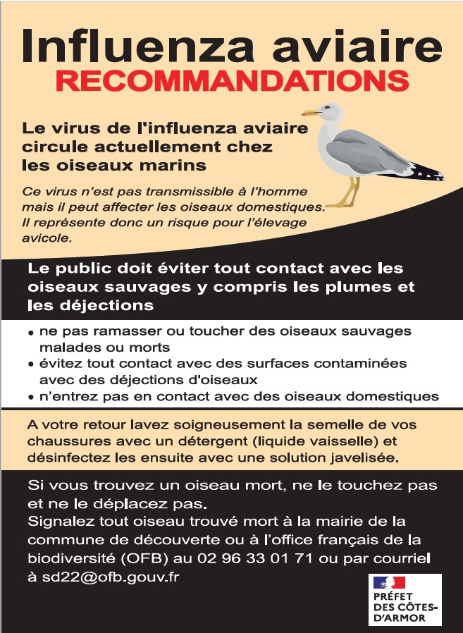Influenza_Aviaire.jpg