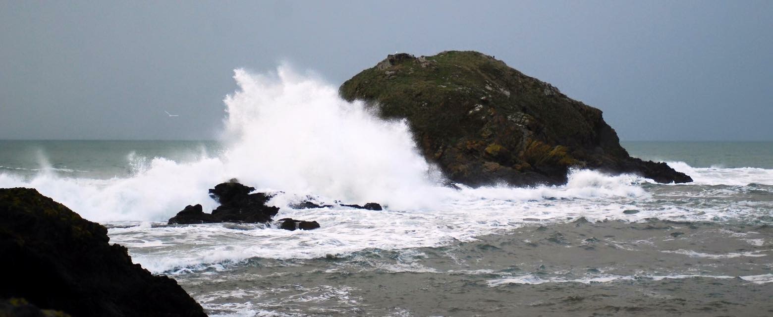 Plaisanciers _7_.jpg