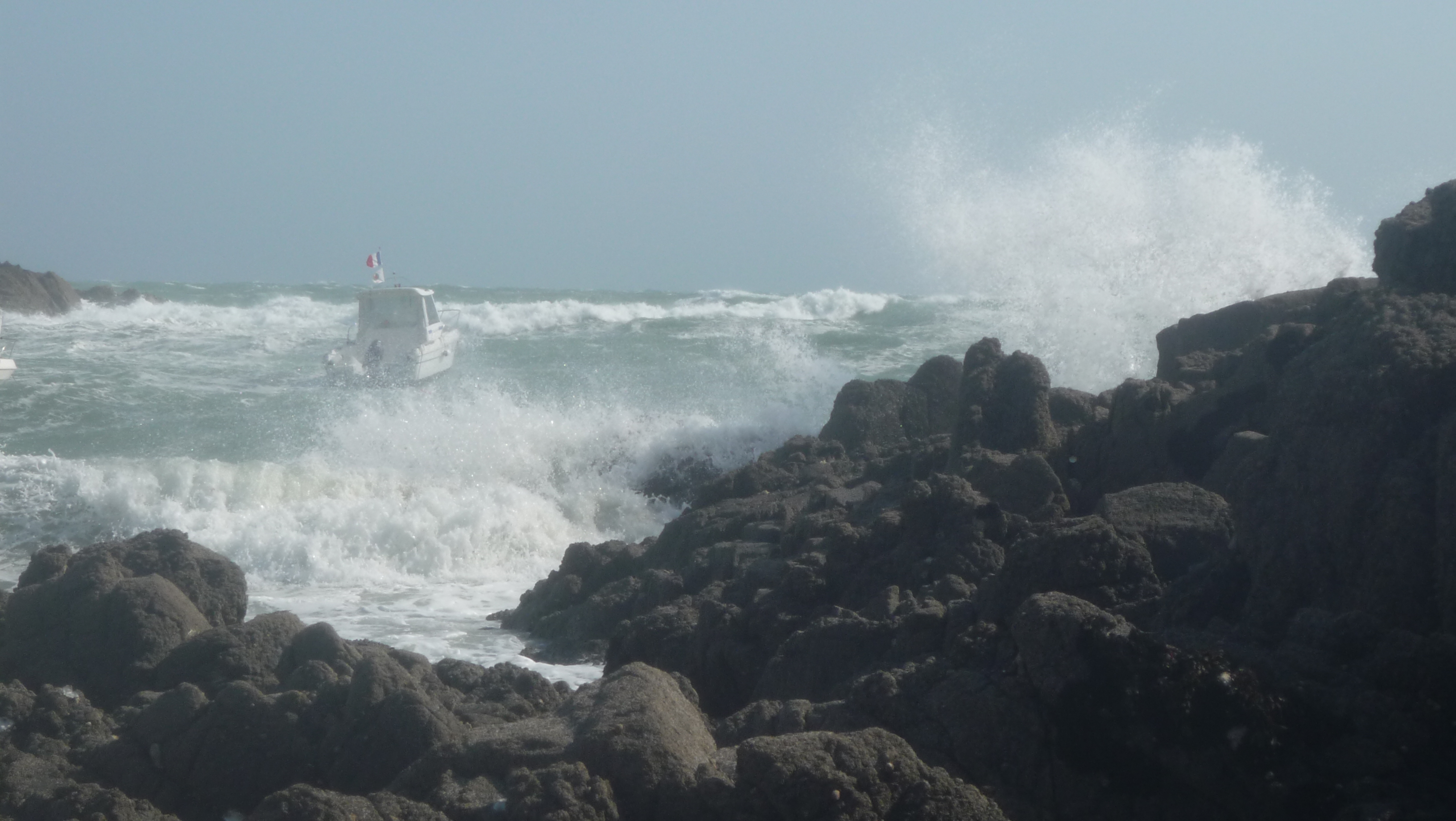 Plaisanciers _9_.jpg