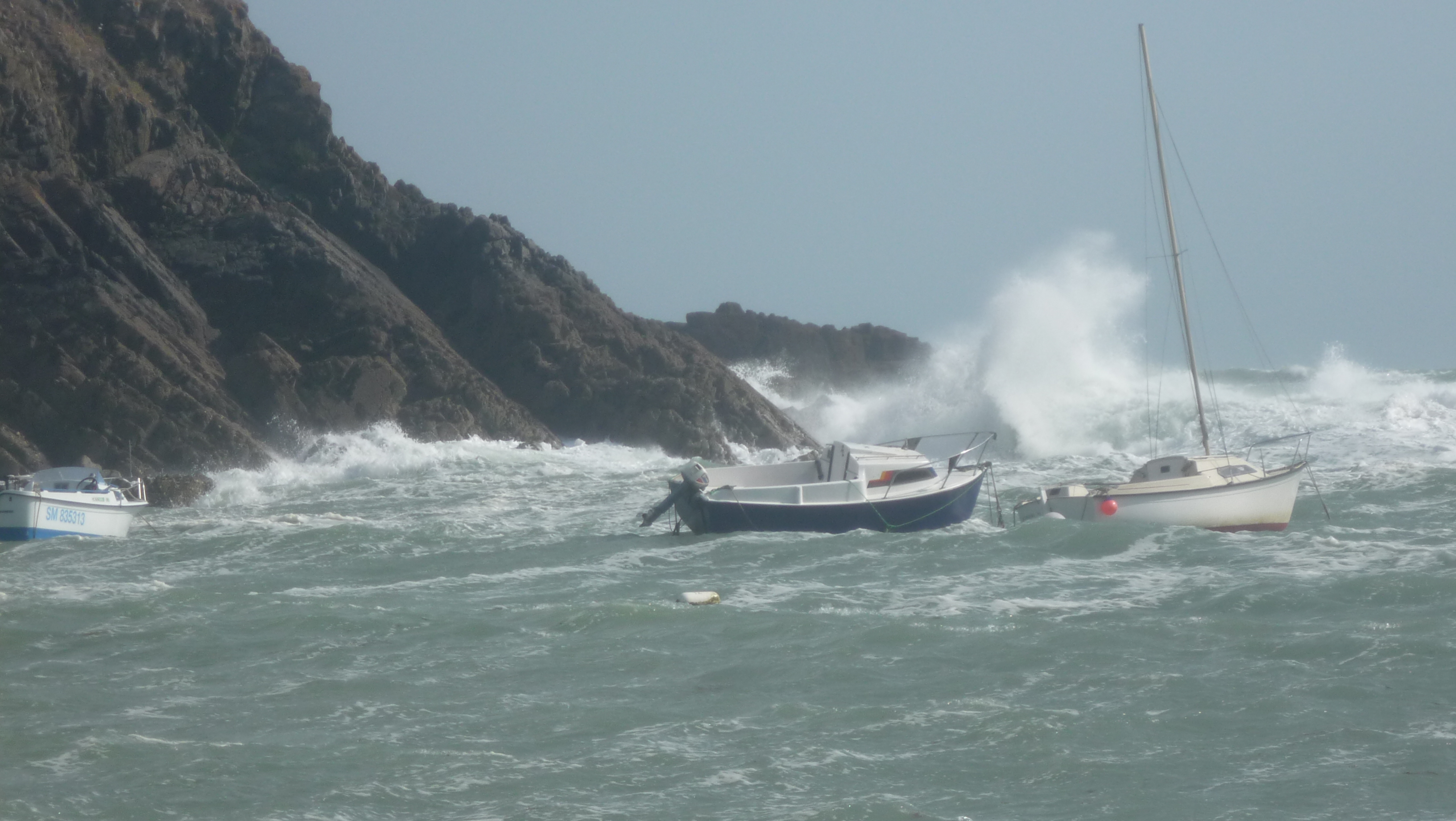 Plaisanciers _8_.jpg