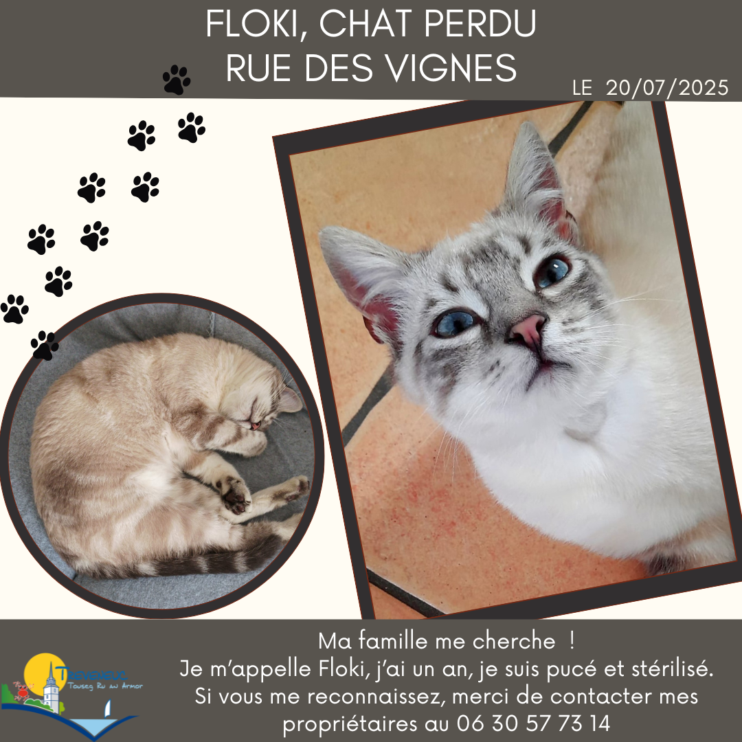 Chat perdu.png Chat perdu.png