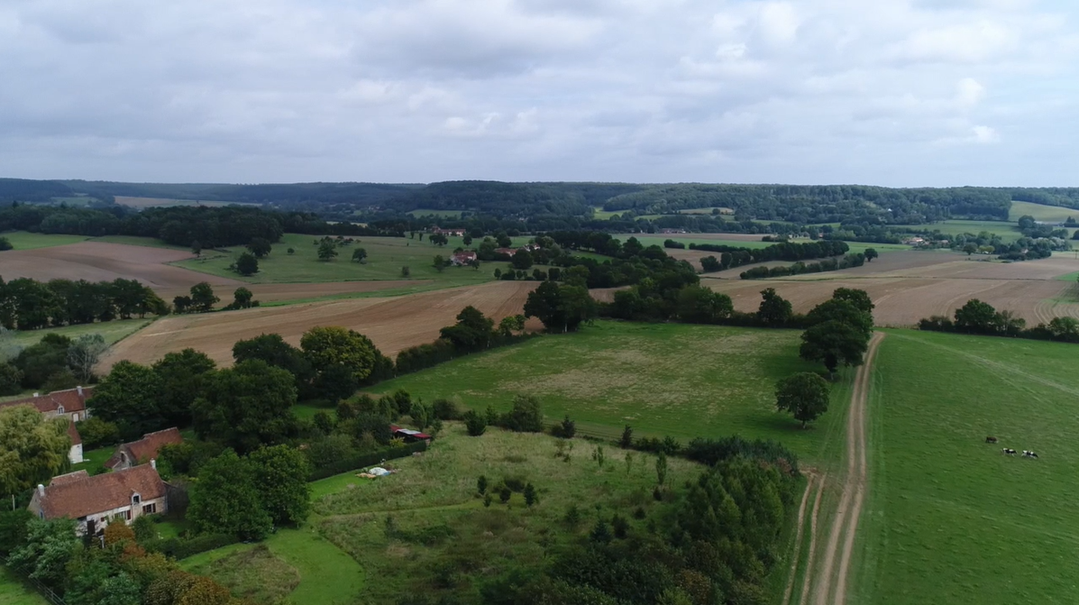 Capture d’écran 2023-06-23 165259.png