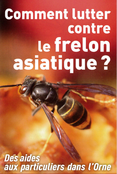 Frelon 2.png