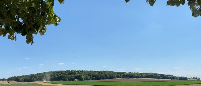 bois calmont.jpg