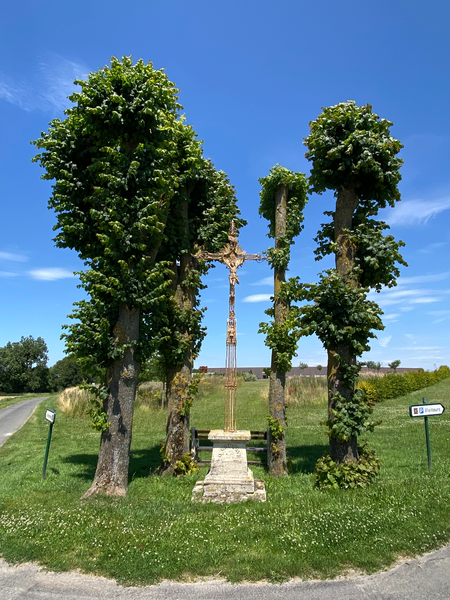 calvaire _2_.png