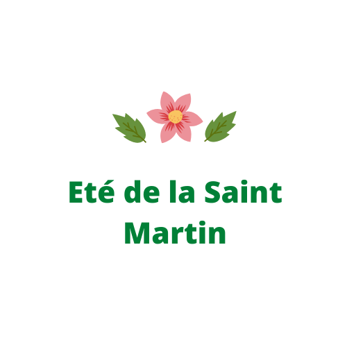 Logo Ete de la Saint Martin.png