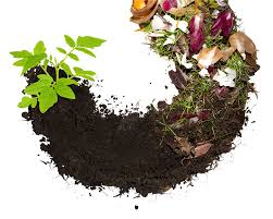 COMPOST.jpg