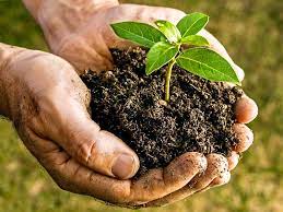 COMPOST.jpg