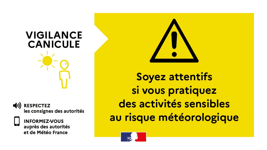 Canicule jaune.jpg