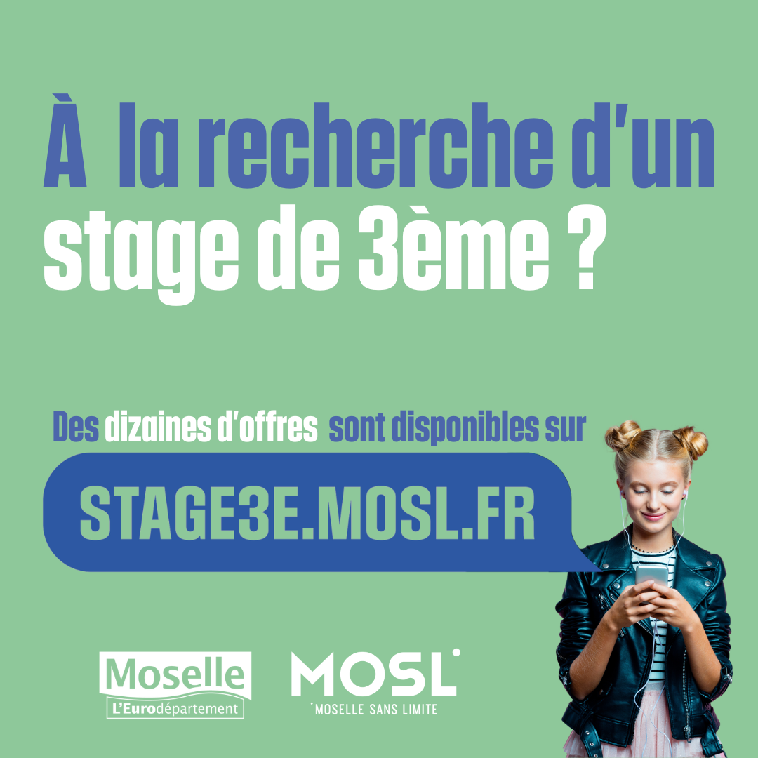 STAGE 3 ème.png