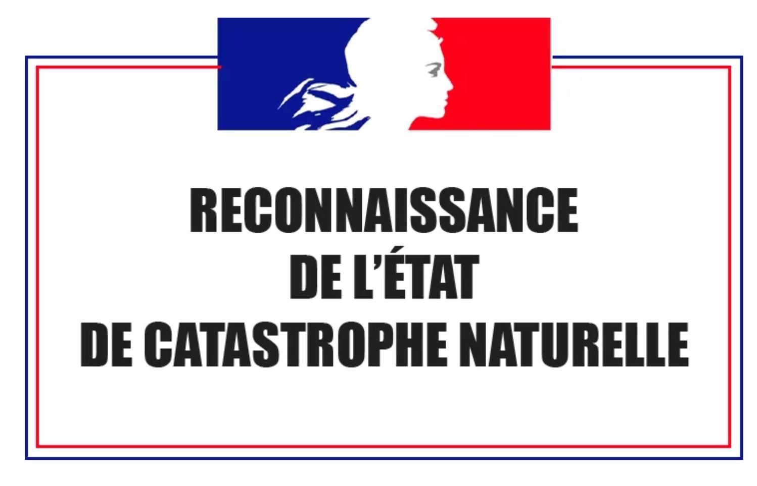brouillon-auto-23.jpg