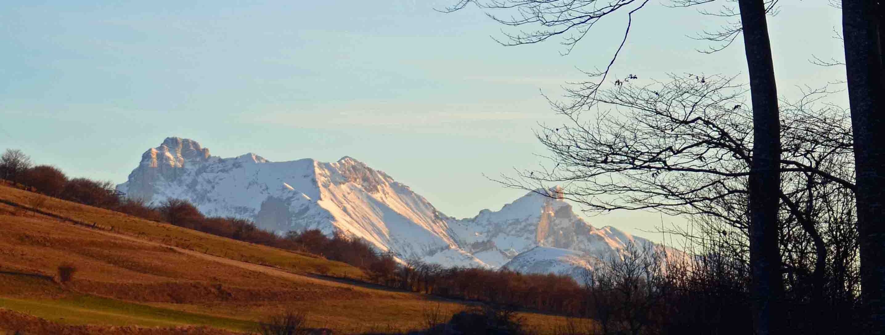 pied de page obiou.jpg