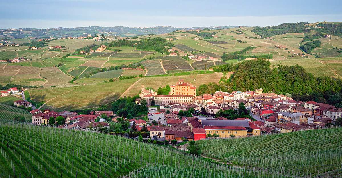 barolo-101-wine-guide-social.jpg