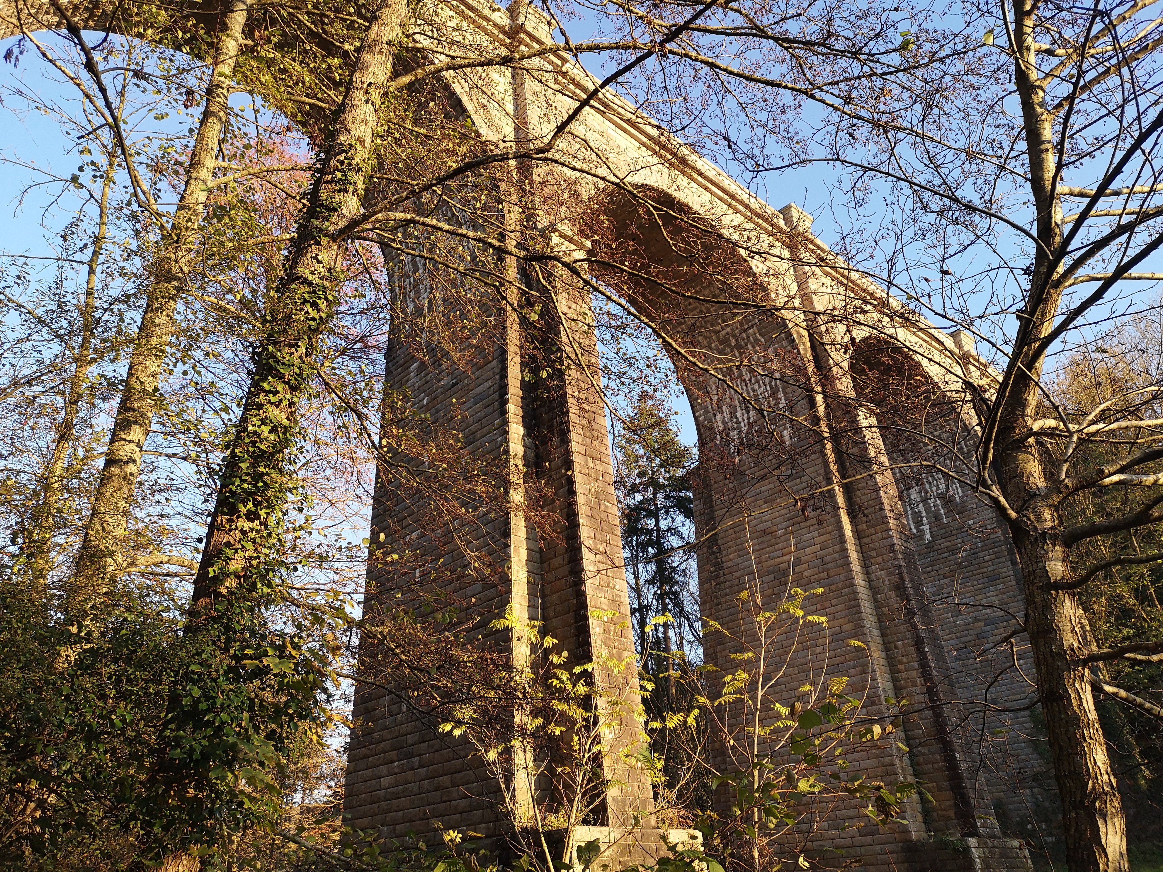 IMG_20201126_161143.jpg
