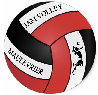 logo volley.jpg