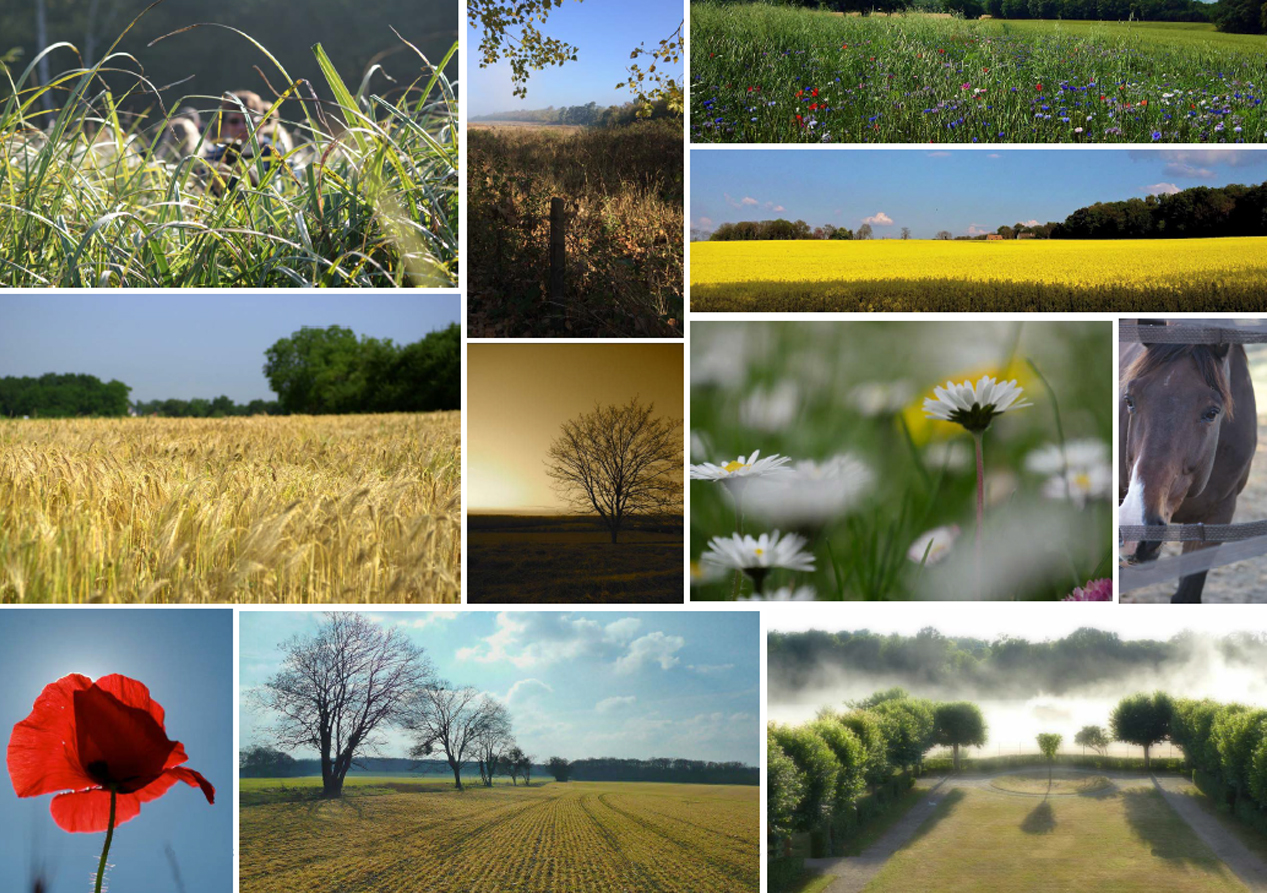 patrimoine_naturel.jpg