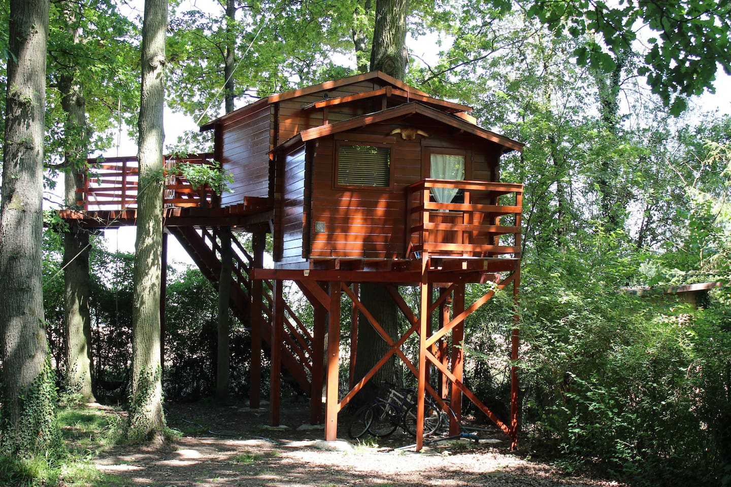 cabane_epona3.jpg