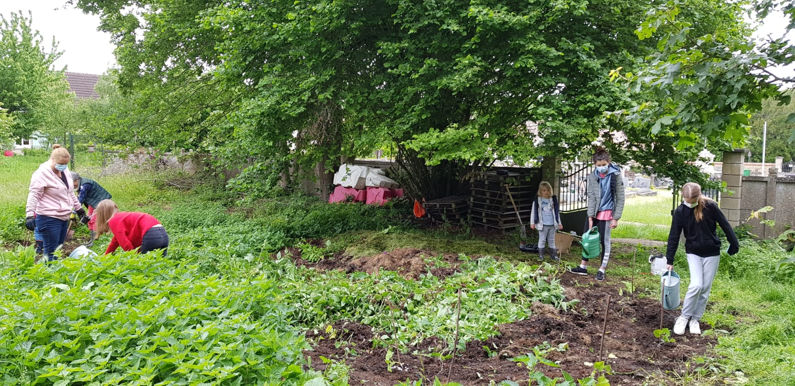 Jardin partagé.jpg