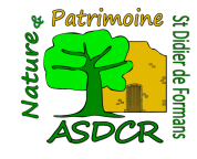 LOGO-ASDCR.png