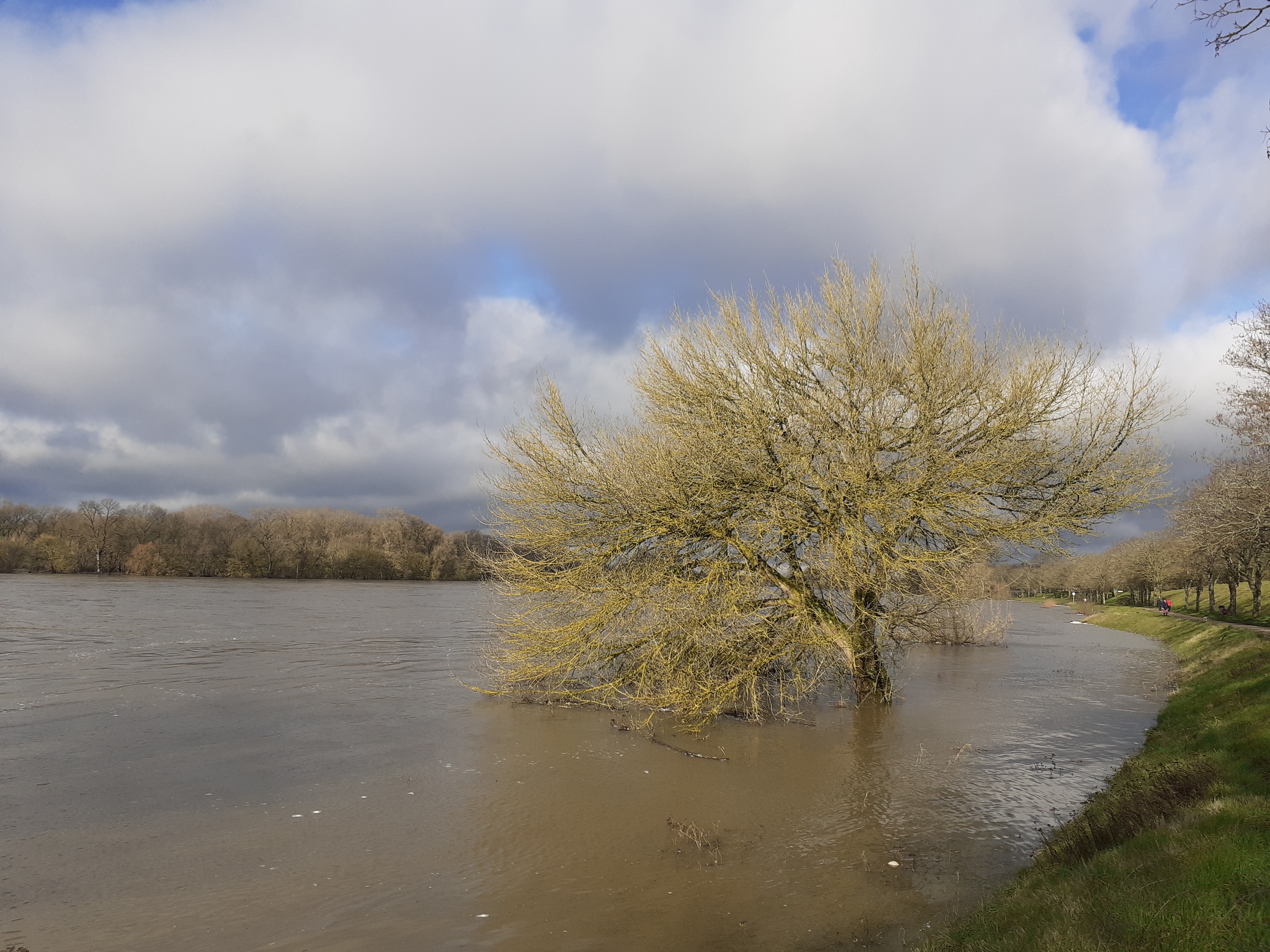 Loire en crue