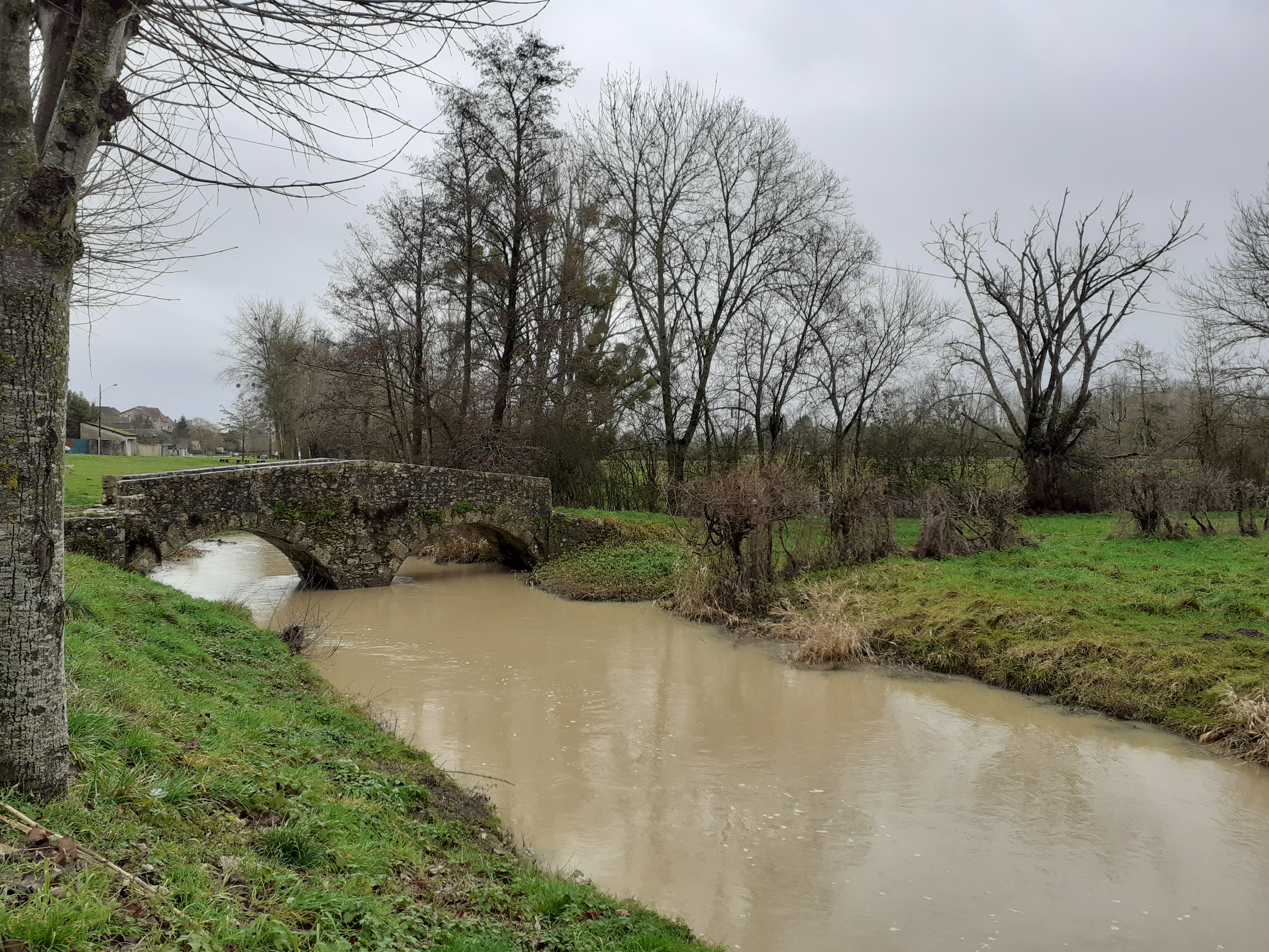 Cheuille en crue bonny pont aux soeurs