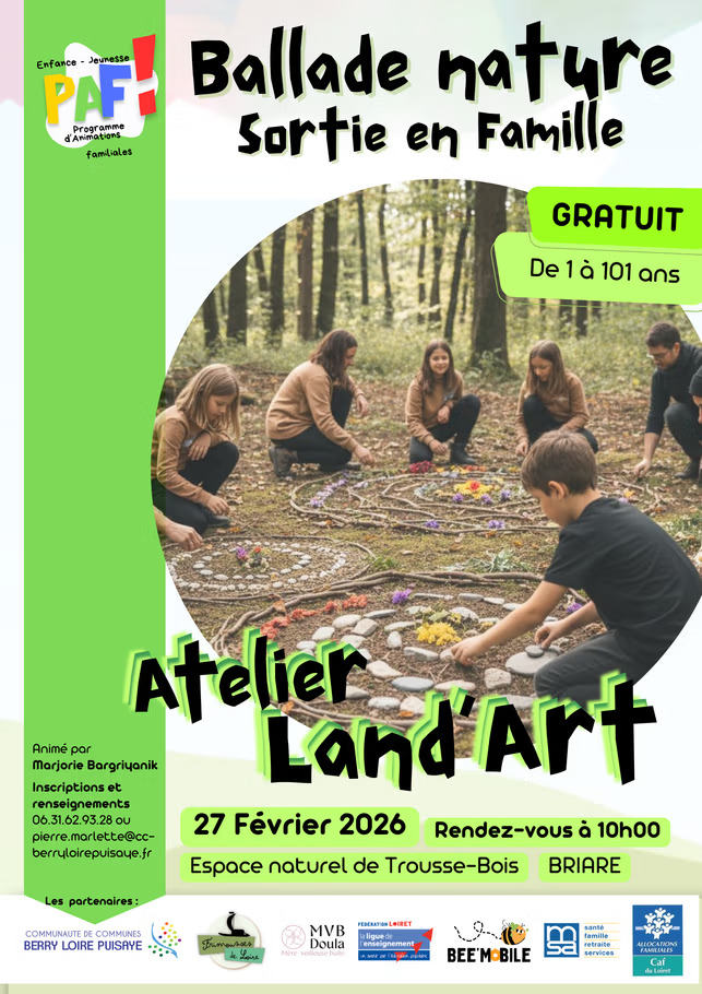 27 fev land art paf.jpg