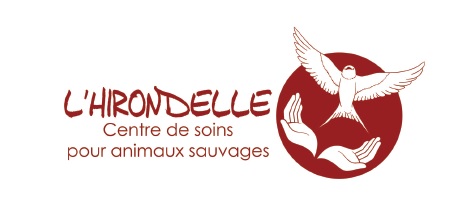 logo-hirondelle-1.jpg