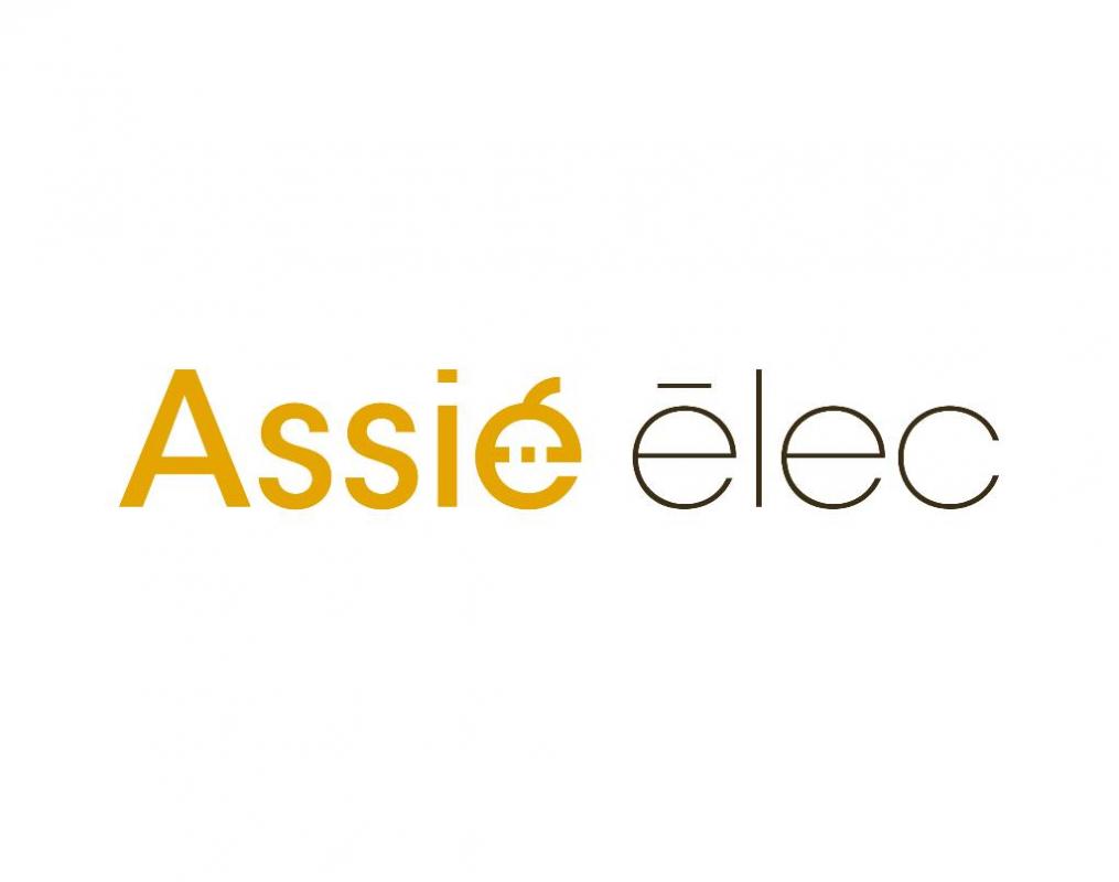 Logo assie elec.jpg