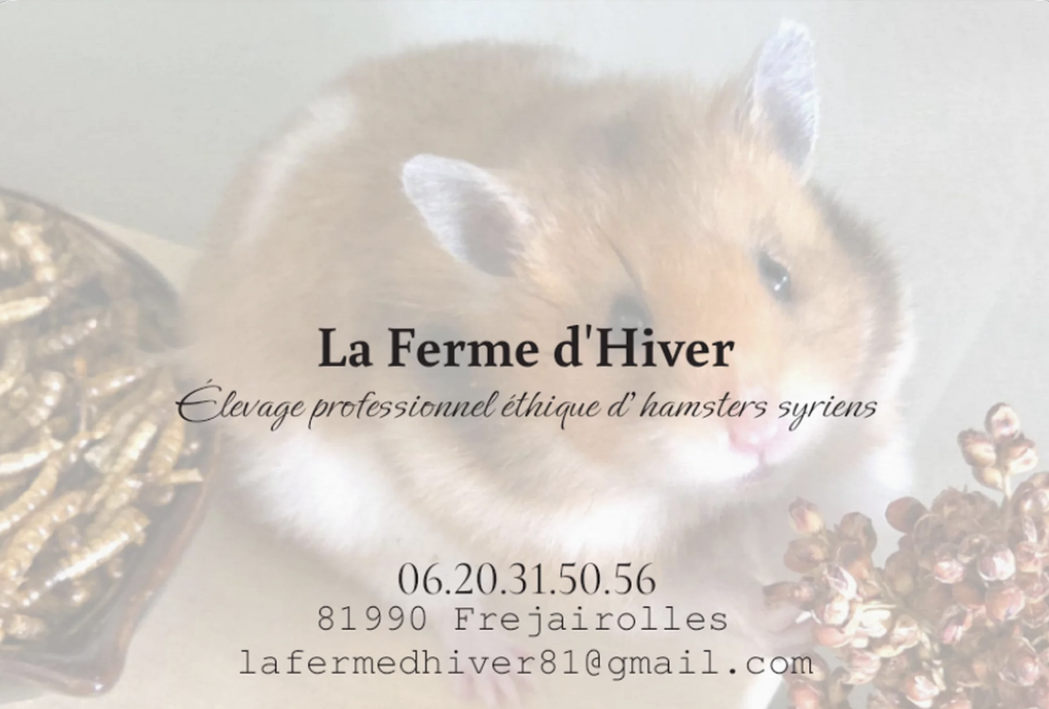 Carte de visite.png