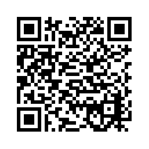 QR CODE elections.png