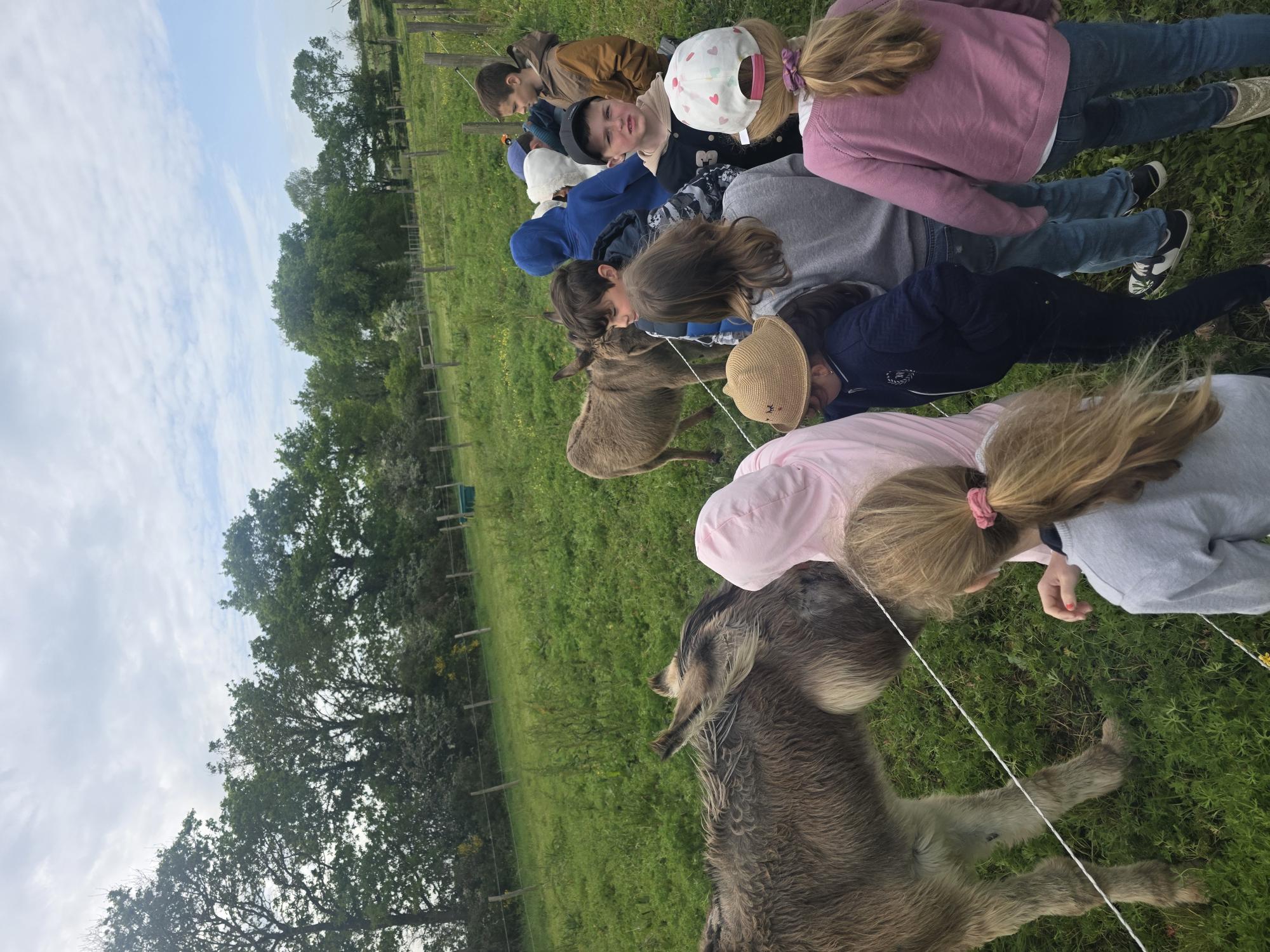 Centre_Equestre_Enfance_Avril__2026 _4_.jpg