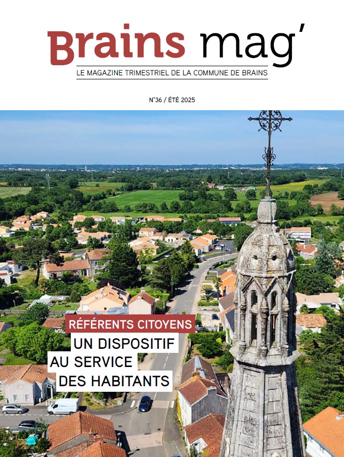 36_Brains mag