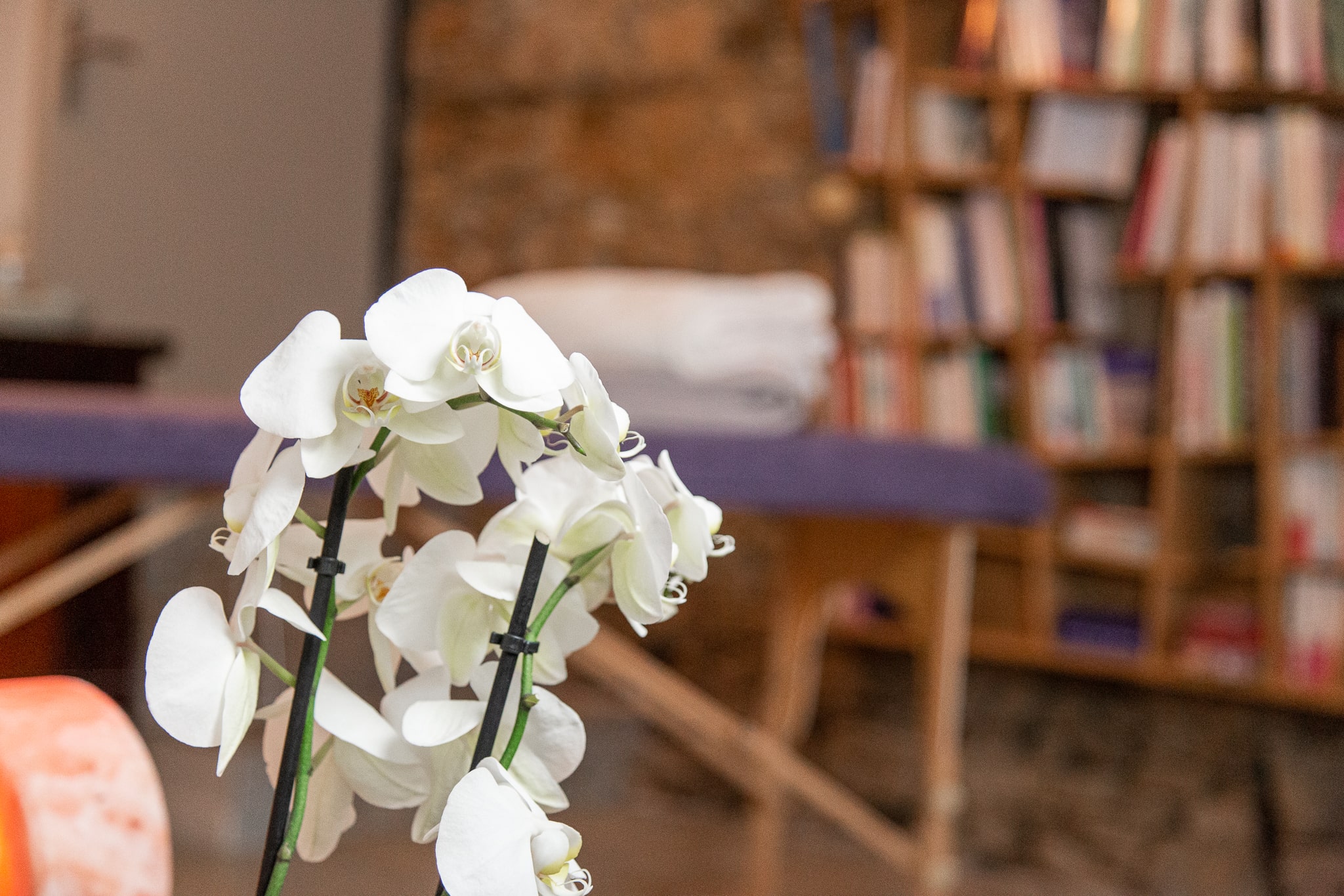 soins bien-être Brains.jpg