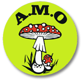 amo-logo.png