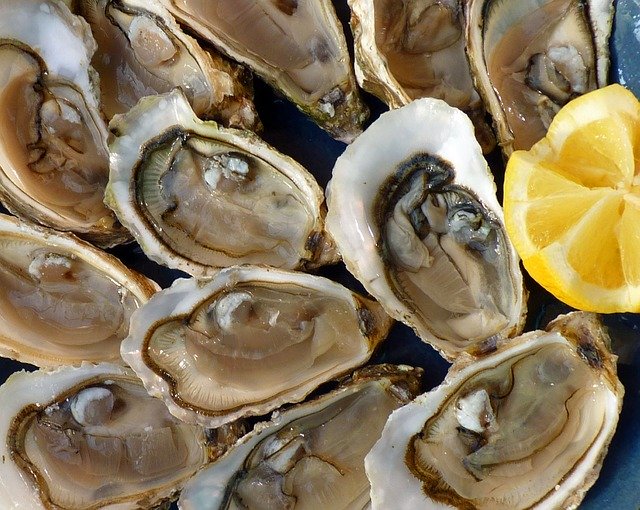 oysters.jpg