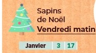 Collecte sapins Noël 2025.jpg