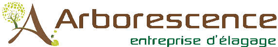Arborescence.png