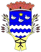 blason cerny _sans fond_.png