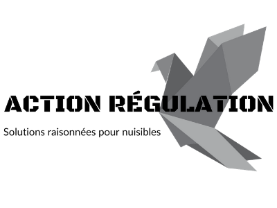 ACTION REGULATION.png ACTION REGULATION.png